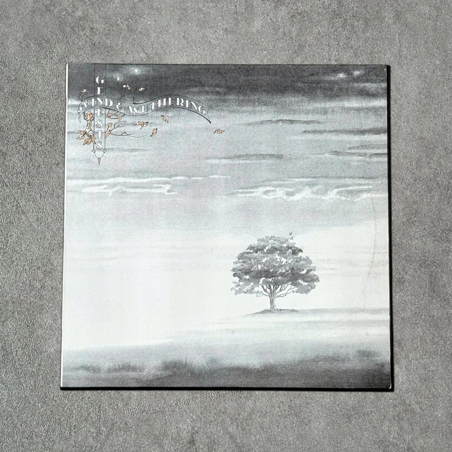 Genesis “Wind & Wuthering” Vintage Record Vinyl Other