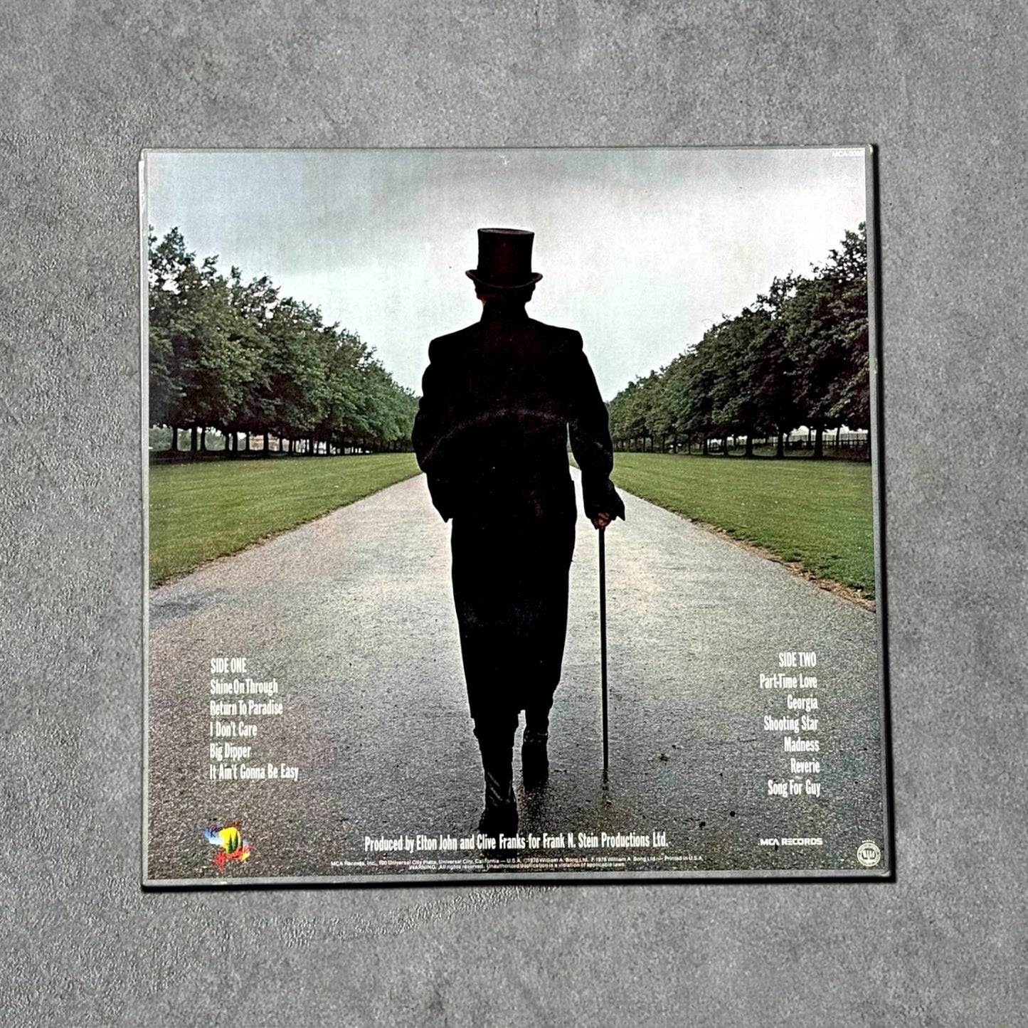 Elton John “A Single Man” Vintage Record Vinyl Other