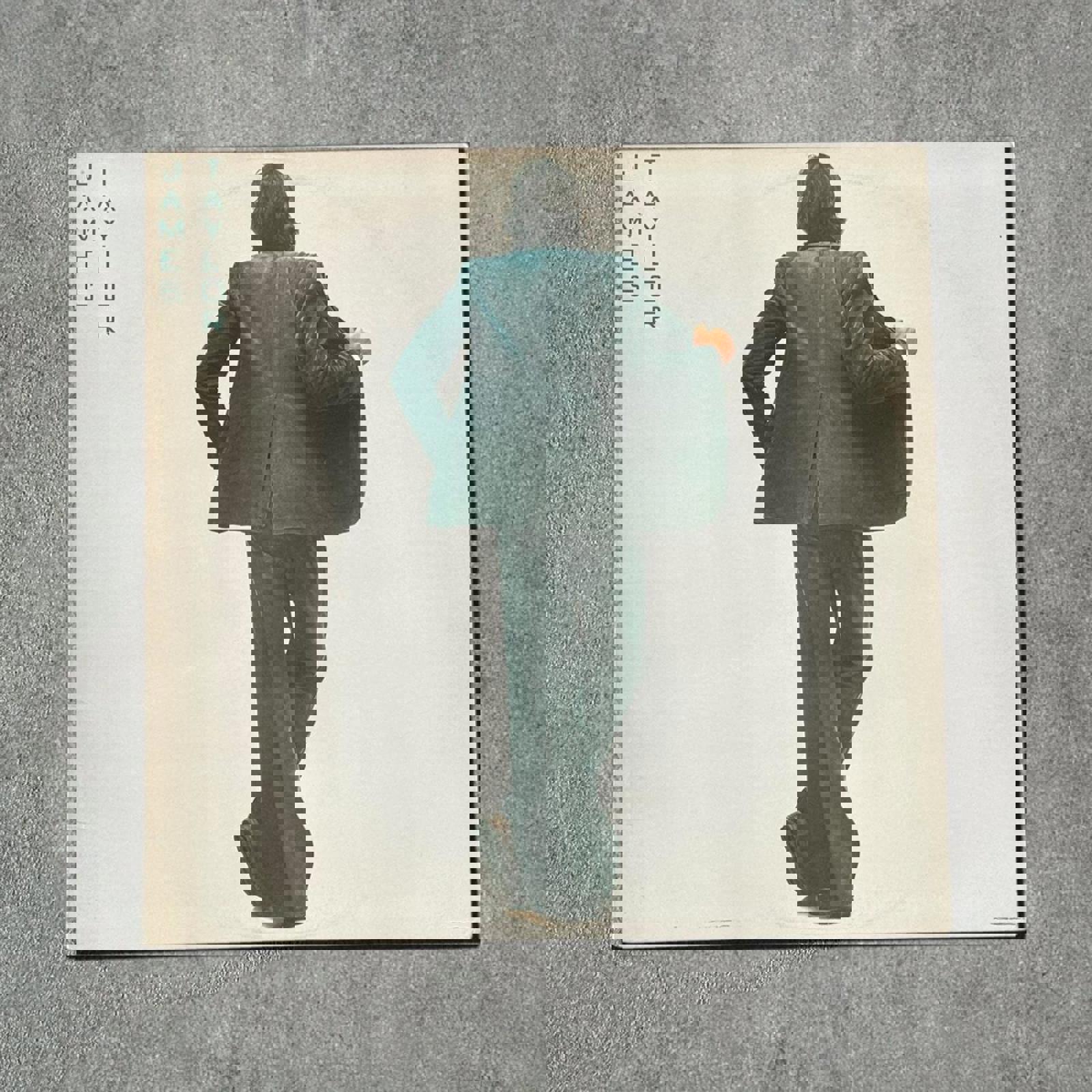 James Taylor Vintage Record Vinyl - GROOVES